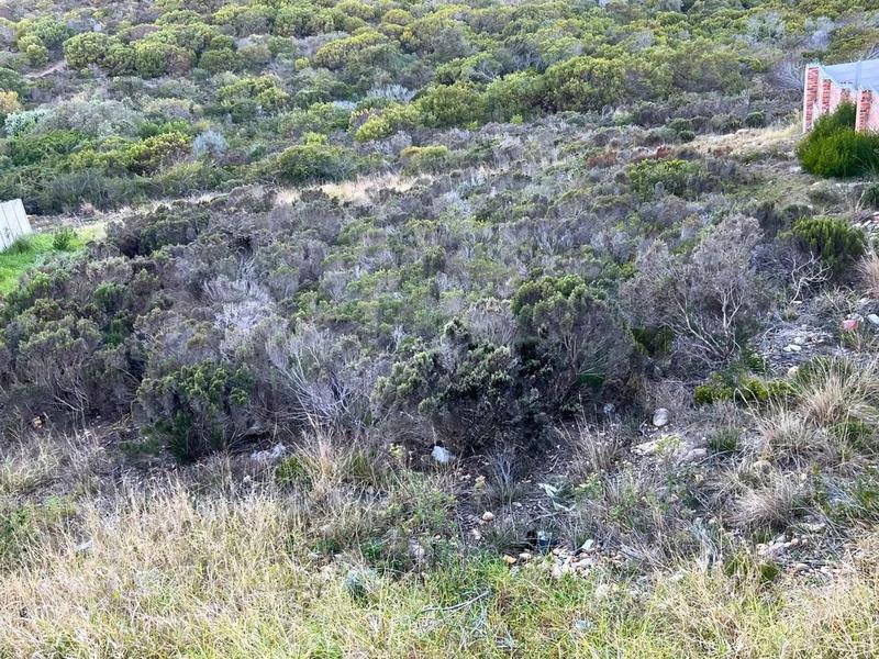 0 Bedroom Property for Sale in Seemeeu Park Western Cape